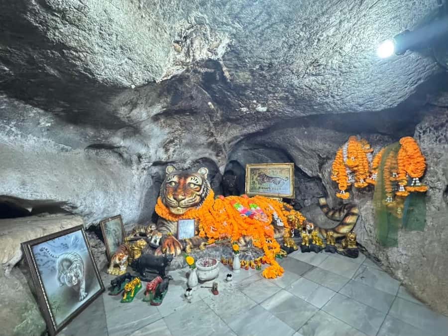 Krabi : 4-Hour City Tour with Tiger Cave Temple - Should you book this Krabi 4-hour city tour with Tiger Cave Temple?