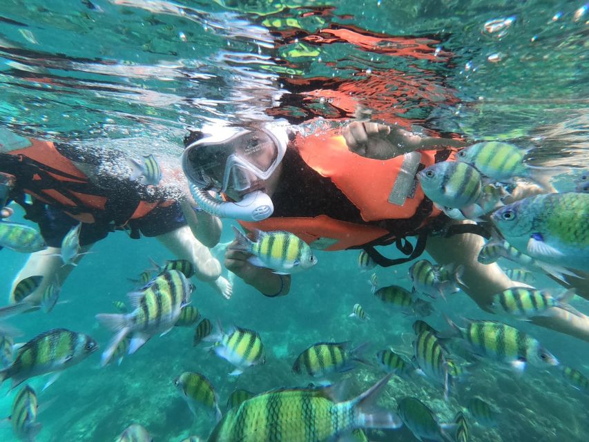Krabi 4 Island One Day Tour by Speed boat or Longtail boat - Who should book, and who should skip