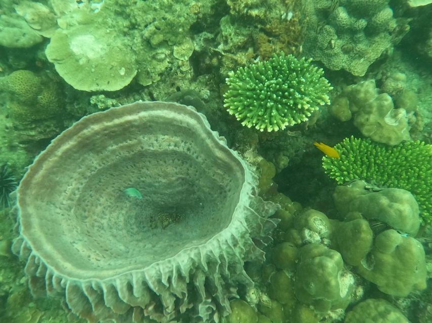 Krabi: 4 Islands & Krabi's Separated Sea Longtail Boat Tour - A 7-hour island circuit from Ao Nang, with Railay in the mix