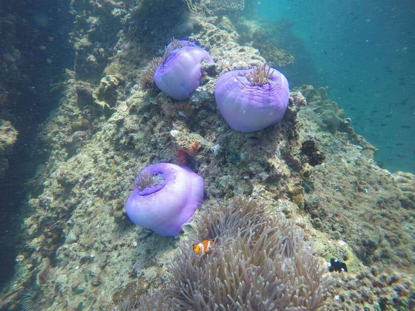 Krabi: 7 Islands Sunset Tour with Buffet Dinner & Snorkeling - Koh Poda beach buffet dinner: sunset, good food, and a calm pause