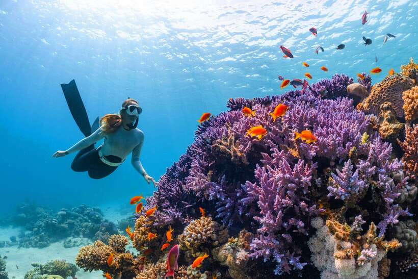 Krabi: 7 Islands Sunset Tour with Plankton Swim and BBQ - Plankton swim after dark: how to maximize your chances