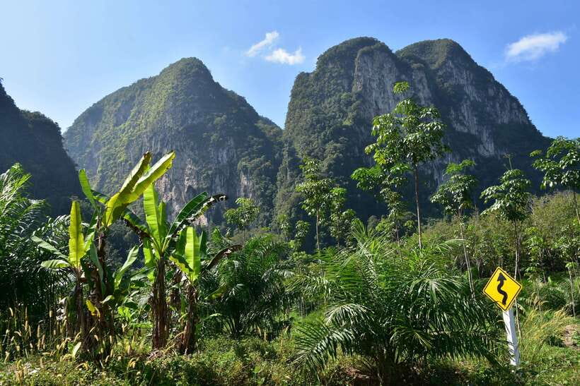 Krabi: A Kayaking Odyssey through Din Daeng Mangrove Maze - Price and value: is $32 worth it?