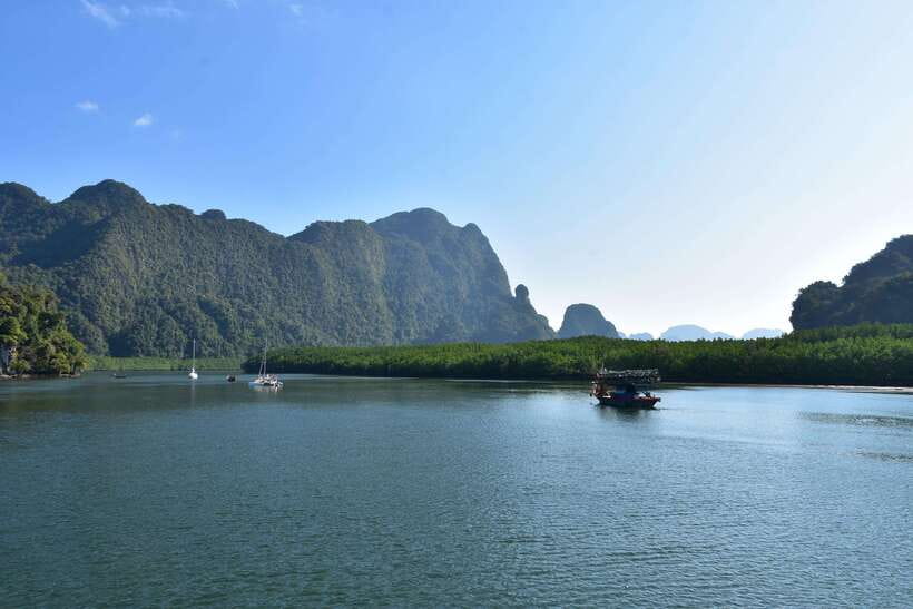 Krabi: A Kayaking Odyssey through Din Daeng Mangrove Maze - Who should book, and who should skip