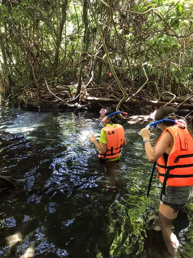 Krabi: Amazon Klong Srakaew Kayaking With Lunch - Klong SraKaew in Krabi: Why this canal feels different