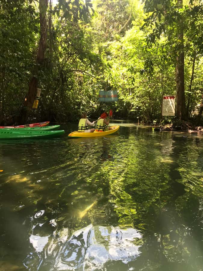 Krabi: Amazon Klong Srakaew Kayaking With Lunch - Kayaking the emerald canal: what the water time is like
