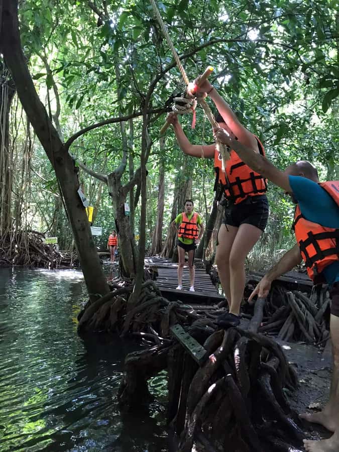 Krabi: Amazon Klong Srakaew Kayaking With Lunch - Nature cues you can look for, without needing a biology degree