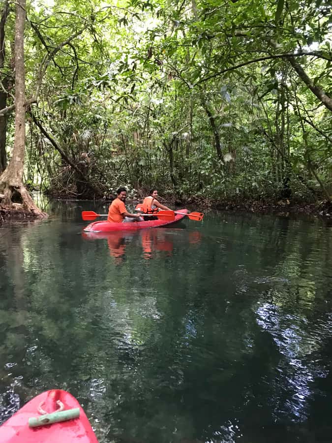 Krabi: Amazon Klong Srakaew Kayaking With Lunch - Group feel and comfort: what to expect in practice