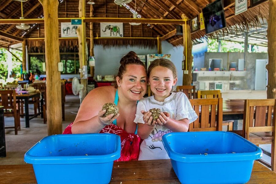 Krabi: Ao Nang Elephant Sanctuary Half-Day Tour - Who should book this Krabi elephant sanctuary half-day?
