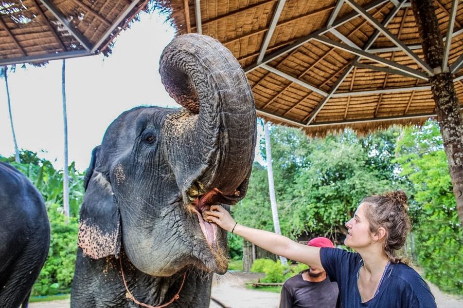Krabi: Ao Nang Elephant Sanctuary Half-Day Tour - From Krabi Hotel to Ao Nang Sanctuary: how the half-day flows