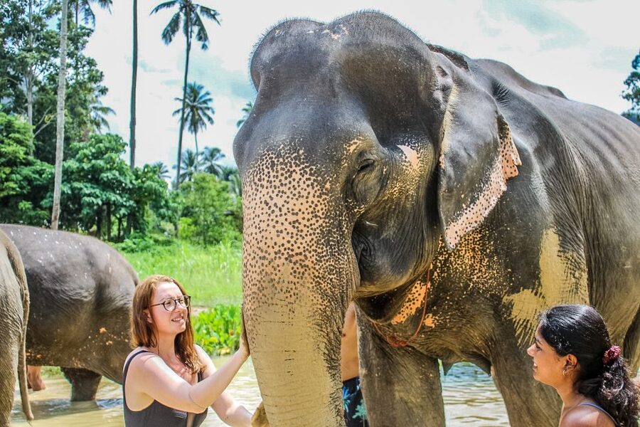Krabi: Ao Nang Elephant Sanctuary Half-Day Tour - Feeding free-roaming elephants the right way, with bananas and rules