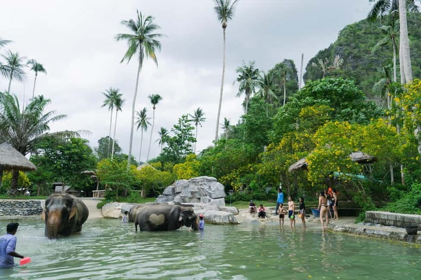 Krabi: Ao Nang Elephant Sanctuary Half-Day Tour - Elephant mud spa day: natural sunscreen, muddy joy, and footwear reality