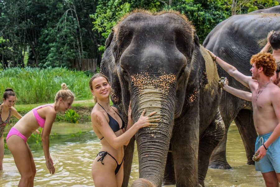 Krabi: Ao Nang Elephant Sanctuary Half-Day Tour - Food, fruit, and coconut water at the end, plus the dry-clothes reset