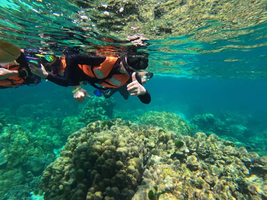 Krabi Aonang: Koh Rok & Koh Haa Snorkelling Day Trip + Lunch - Key things I’d circle before you go