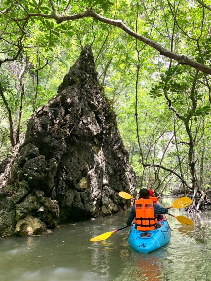 Krabi: ATV Jungle Bash & Kayak Odyssey in Din Daeng Mangrove - Din Daeng Canyon mangroves: the emerald maze where monkeys steal the show
