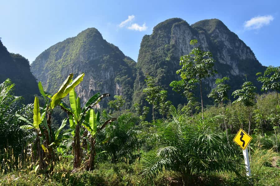 Krabi: ATV Jungle Bash & Kayak Odyssey in Din Daeng Mangrove - Monkey Beach swim break: white sand, quick stretch, and cliff-side attention