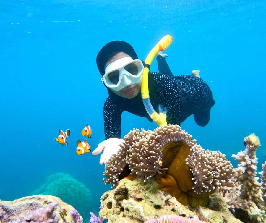Krabi: Bioluminescent Plankton, Snorkeling & Sunset Tour - Price and value: what $40 buys you in real terms