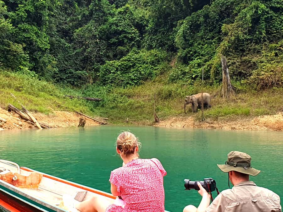 Krabi: Cheow Lan Lake, Diamond Cave, Hiking, All Included - What $115 covers, and why that matters for value
