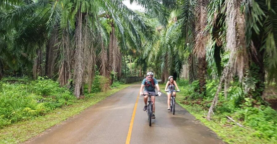 Krabi: Cycling Tour To Krabi - Markets, batik demonstration, and how they feed you during the ride