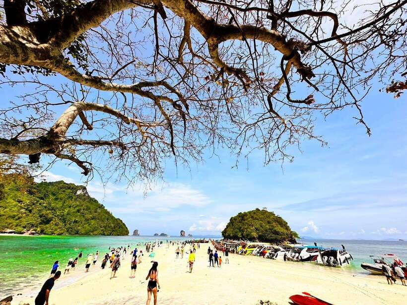 Krabi:Day Trip 4 Islands by Premium Longtail Boat with Lunch - Key Highlights You Can Plan Around