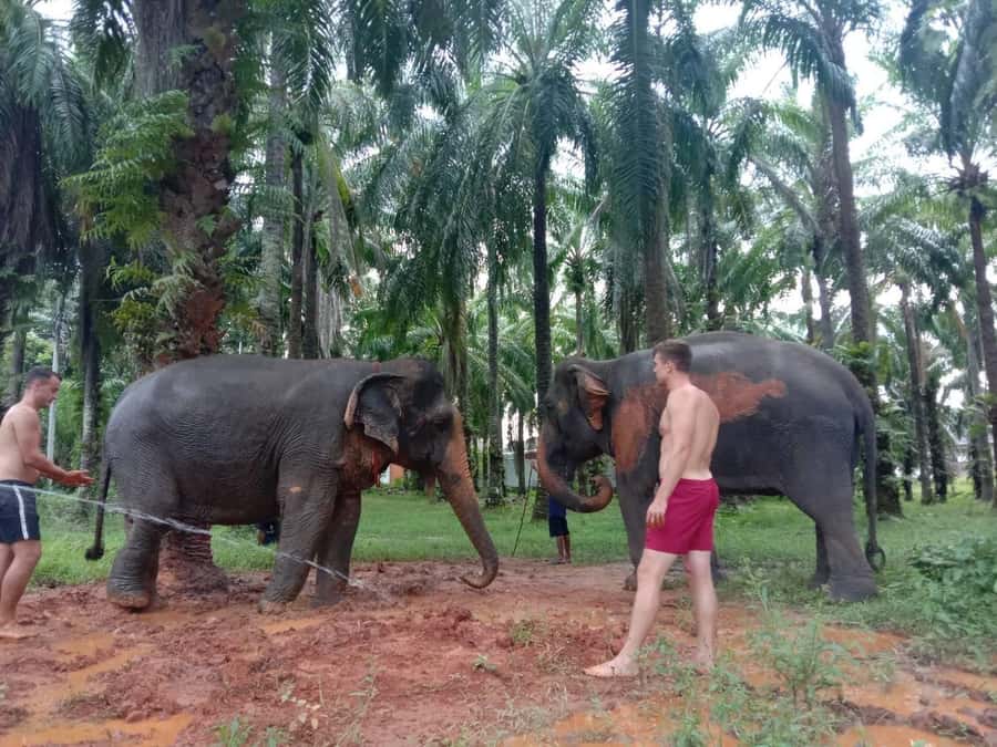 Krabi Elephant bathing and Atv adventure (30min/30min) - From Ao Nang pickup to jungle elephants: how the day starts