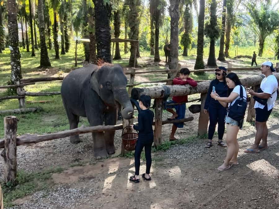 Krabi Elephant bathing and Atv adventure (30min/30min) - Mud bathing, elephant feeding, and bath time: what you’ll do