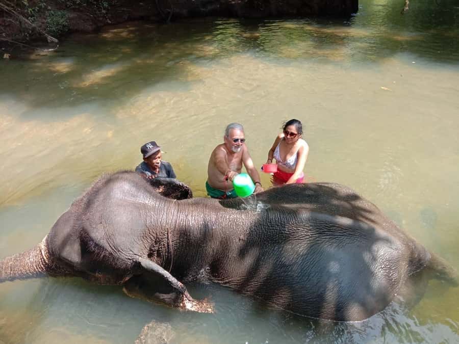 Krabi Elephant bathing and Atv adventure (30min/30min) - The 15-minute nature walk to the elephant area