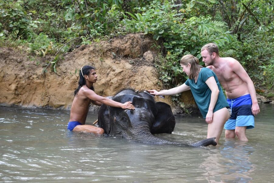 Krabi: Elephant Care House & 7-Level Huay Tho Waterfall Trip - Lunch in the middle, and why it matters on a water day