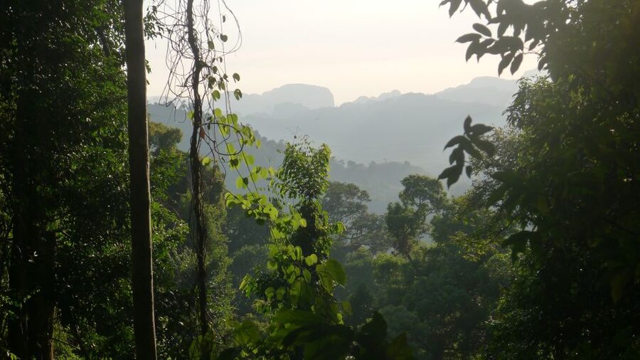 Krabi: Elephant Care House & 7-Level Huay Tho Waterfall Trip - What to bring, what not to bring, and how to avoid a miserable day