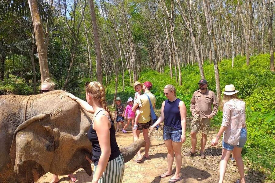 Krabi: Elephant Care House Guided Tour with Hotel Transfers - Key Things That Make This Elephant Tour Work