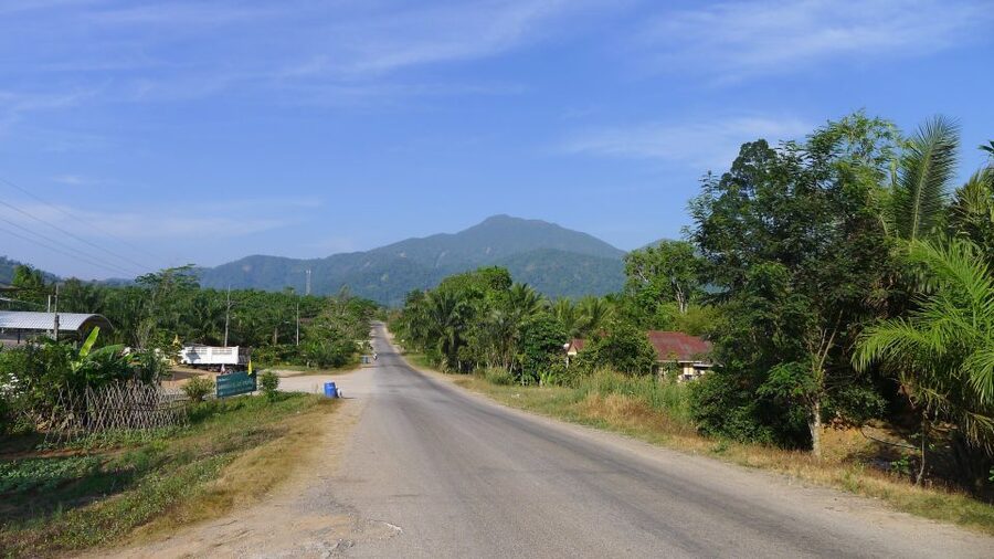 Krabi: Elephant Care House Guided Tour with Hotel Transfers - Khao Phanom Bencha National Park: Why This Setting Matters in Krabi