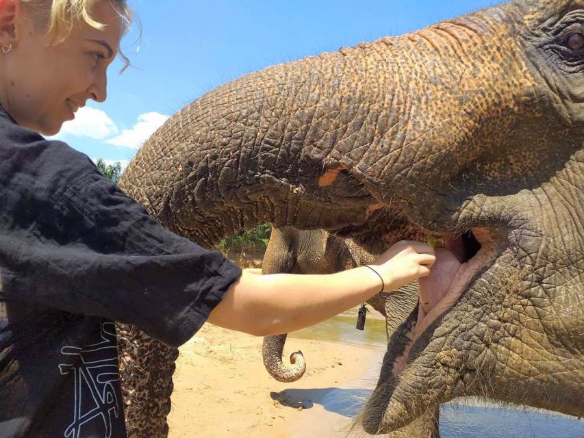 Krabi: Elephant Care House Guided Tour with Hotel Transfers - Safety Briefing and Elephant Rules: The Big Deal Is Permission