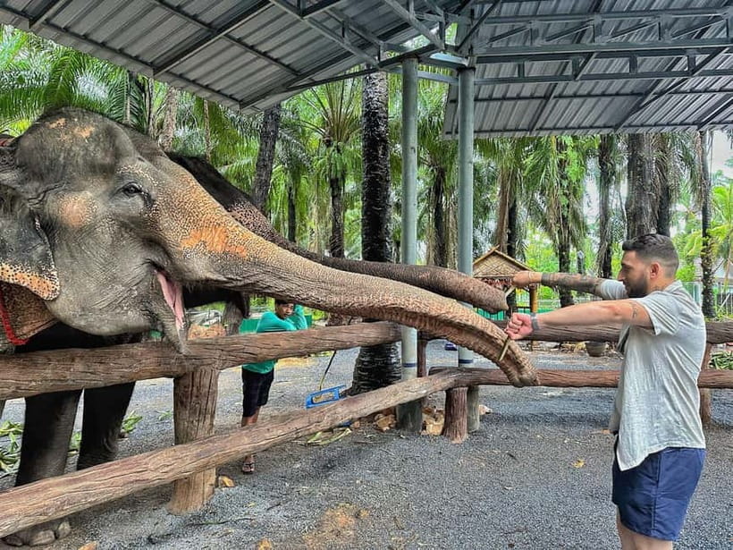 Krabi: Elephant Feeding Program with Food Preparation - How the 30-minute elephant feeding experience in Ao Nang is paced