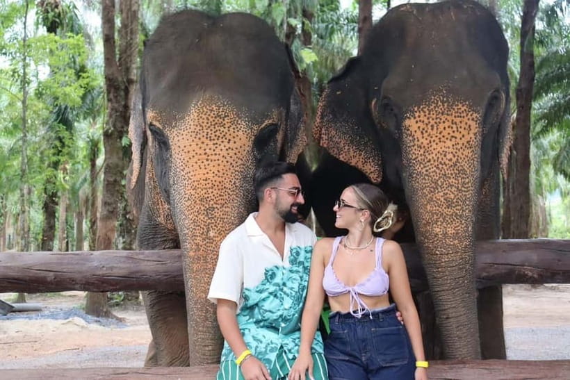 Krabi: Elephant Feeding Program with Food Preparation - The sanctuary time: retired elephants from tourism and logging