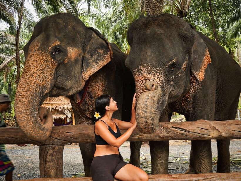 Krabi: Elephant Feeding Program - Meeting caretakers and learning elephant behavior (without the lecture vibe)