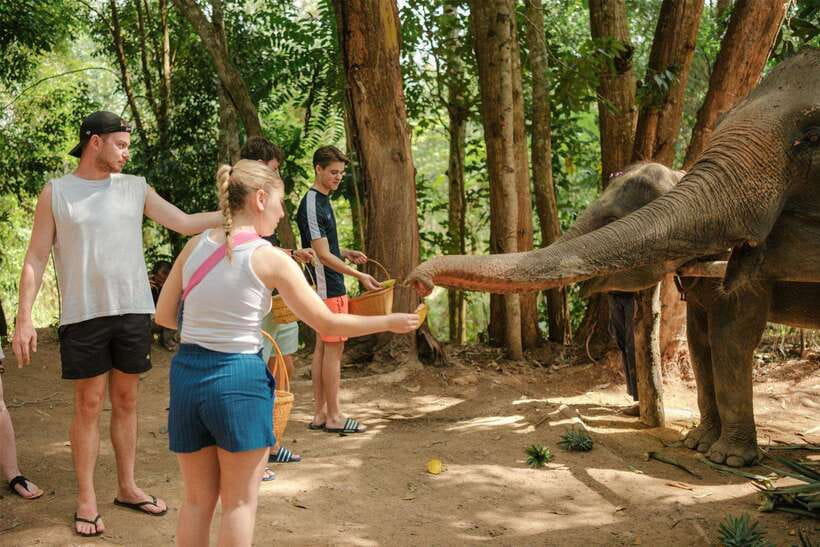 Krabi: Elephant Sanctuary (near Ao Nang) Visit - Getting to Love Elephant Sanctuary from Ao Nang, with minimal hassle