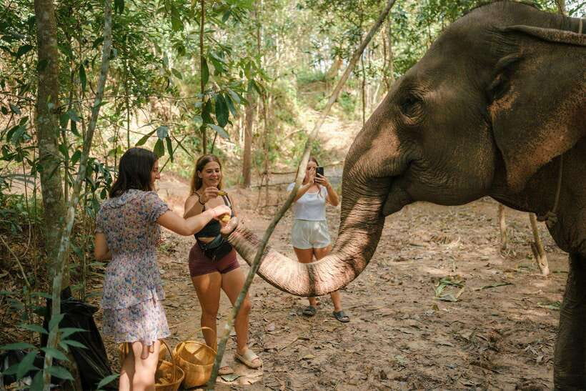 Krabi: Elephant Sanctuary (near Ao Nang) Visit - Price and value: why $22 feels fair here