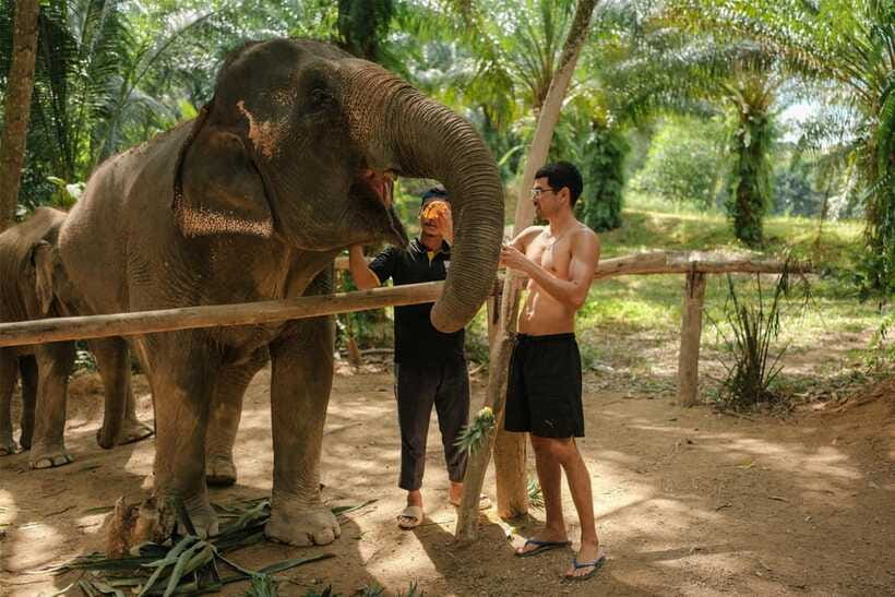Krabi: Elephant Sanctuary (near Ao Nang) Visit - Who this is best for, and who should skip it