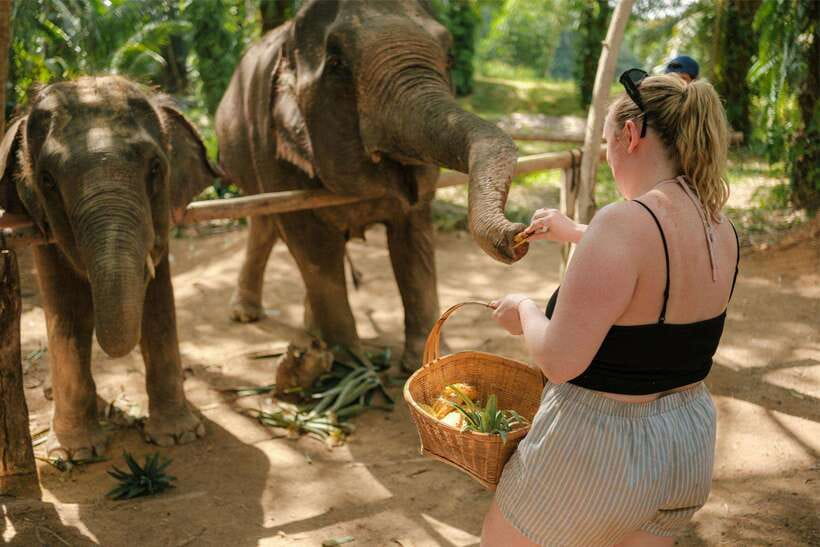 Krabi: Elephant Sanctuary (near Ao Nang) Visit - Small details that make the visit smoother