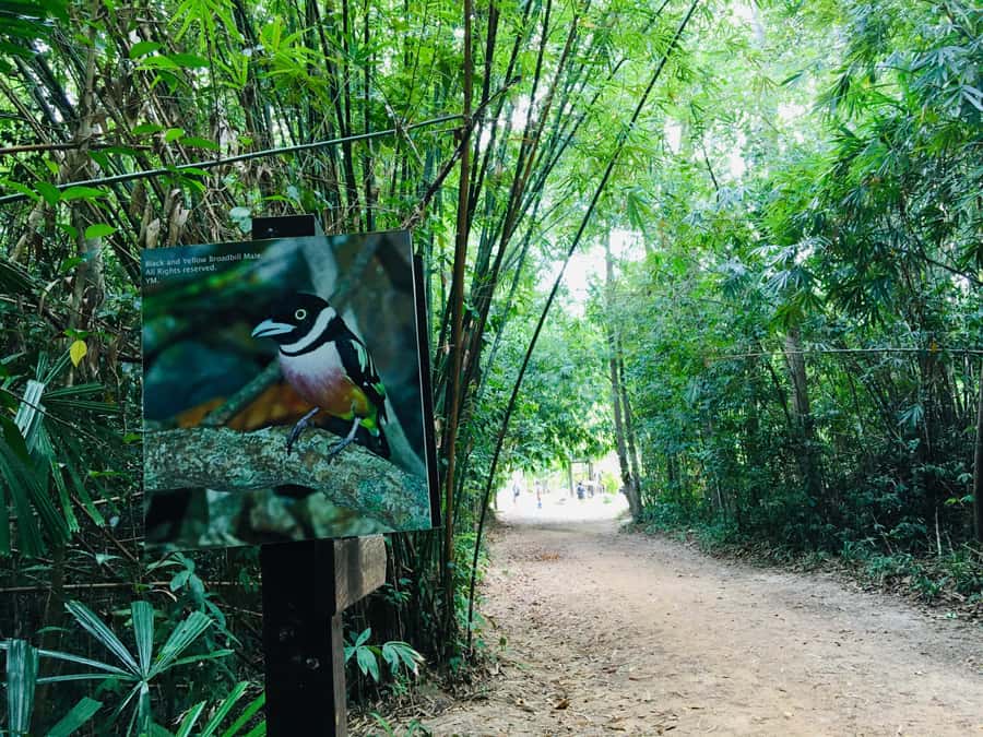 Krabi: Emerald Pool and Hot Spring Waterfall with ATV Riding - Bottom line: should you book Krabi’s Emerald Pool, hot springs, and ATV tour?