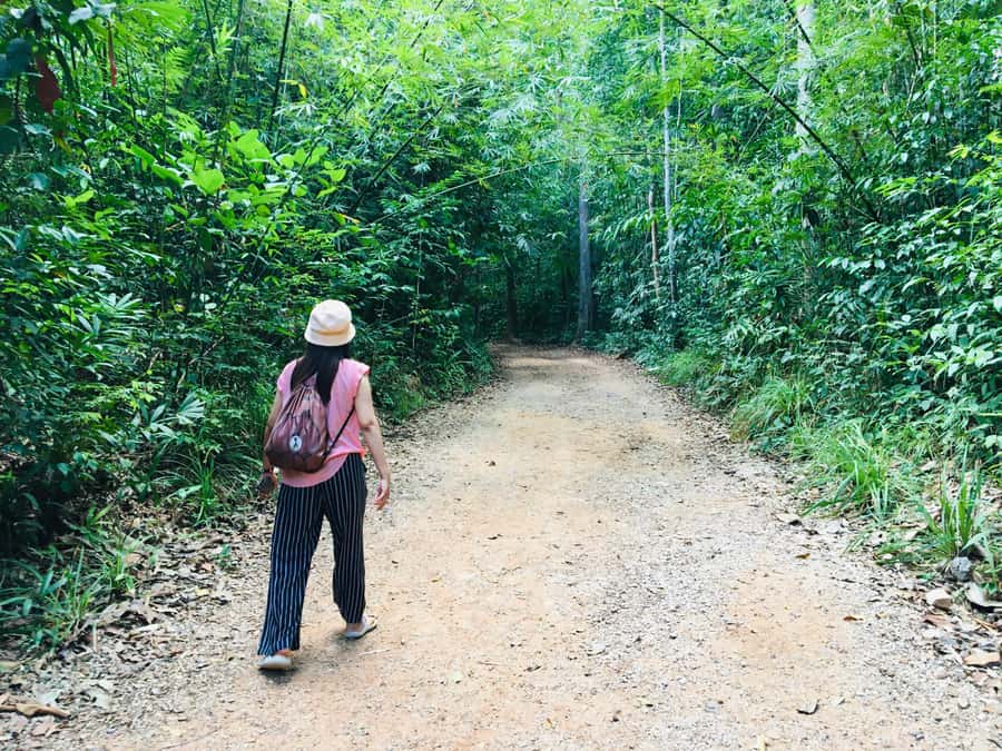 Krabi: Emerald Pool and Hot Spring Waterfall with ATV Riding - Why this Krabi day feels special: two nature icons plus an ATV