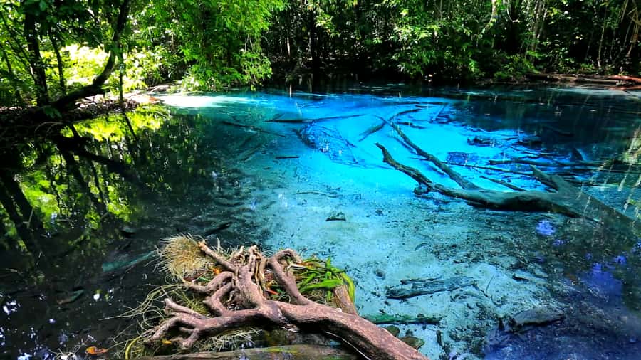 Krabi: Emerald Pool and Hot Spring Waterfall with ATV Riding - Emerald Pool in Khao Phra Bang Khram Nature Reserve, and what makes it look that way