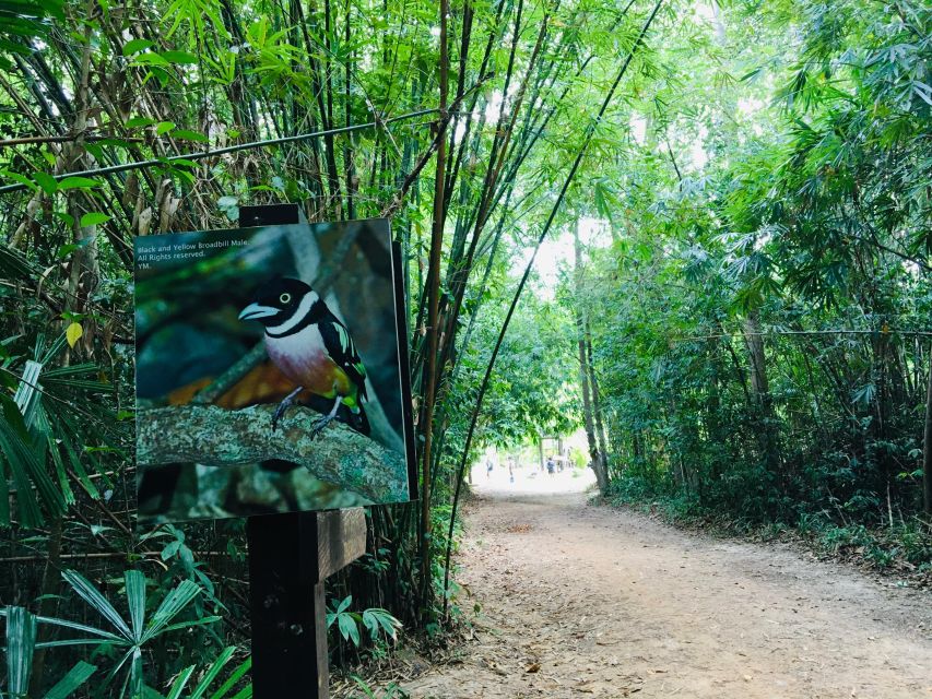 Krabi: Emerald Pool and Hot Springs Waterfall Half-Day Trip - Should you book this Emerald Pool and hot springs half-day?