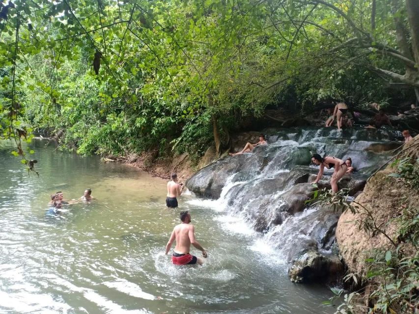 Krabi: Emerald Pool and Hot Springs Waterfall Half-Day Trip - Emerald Pool: Why the water looks the way it does