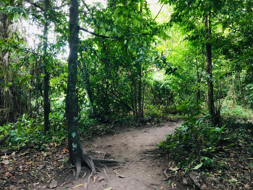 Krabi: Emerald Pool and Hot Springs Waterfall Half-Day Trip - Khao Phra Bang Khram Nature Reserve: More than two water stops