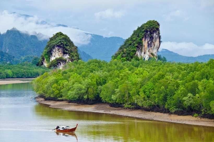 Krabi: Emerald Pool, Hot Springs & Krabi Town Day Tour - Price and value: what $55 really covers in Krabi