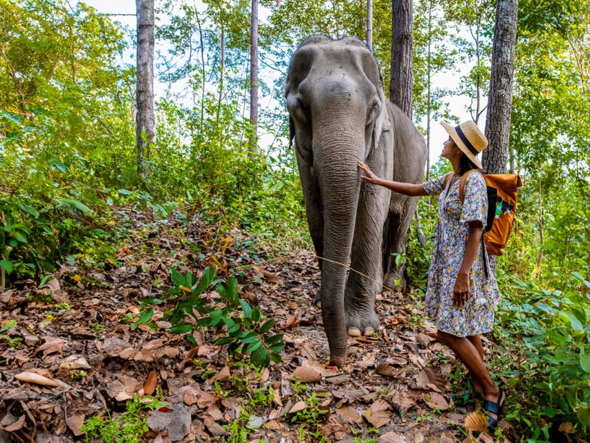 Krabi: Ethical Elephant Care Experience with Hotel Transfer - Who this tour fits best in Krabi