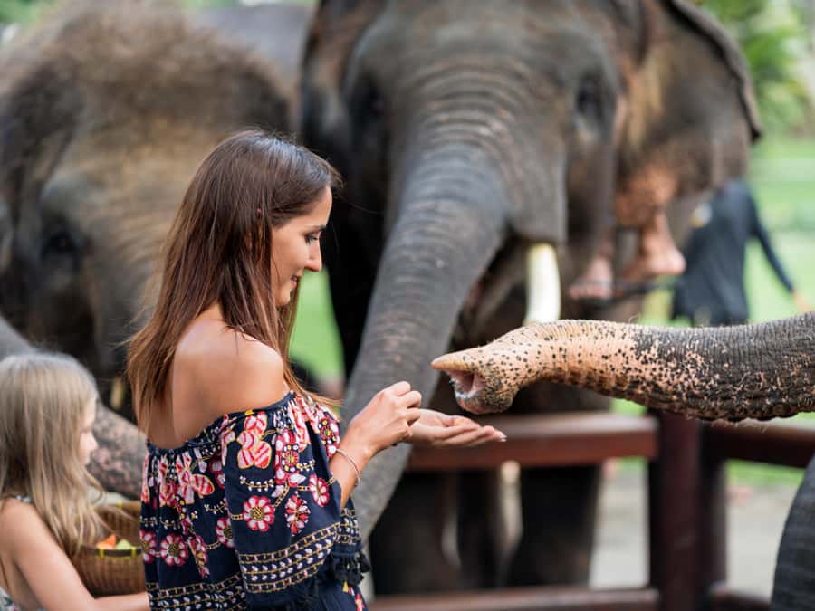 Krabi: Ethical Elephant Care Experience with Hotel Transfer - Getting to the Elephant Care House, and why the 4-hour block matters