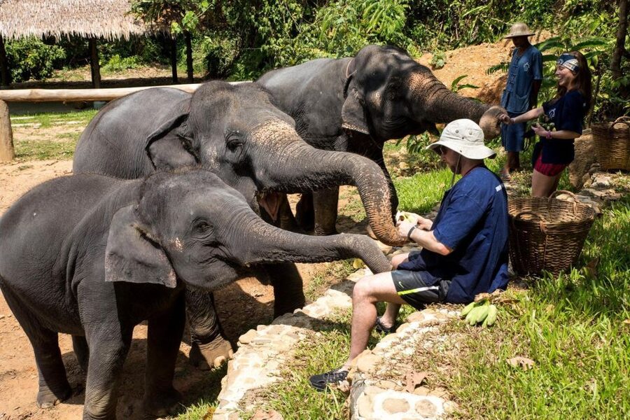 Krabi: Ethical Elephant Sanctuary Experience - Skin care and the bath option, where ethics questions come up