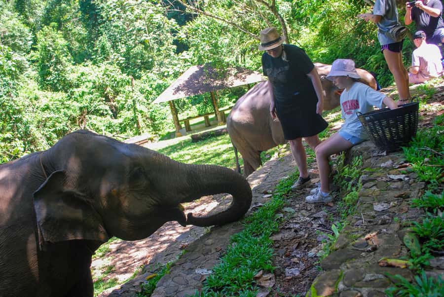 Krabi: Ethical Elephant Sanctuary Experience - Thai lunch and the shower break you will thank yourself for