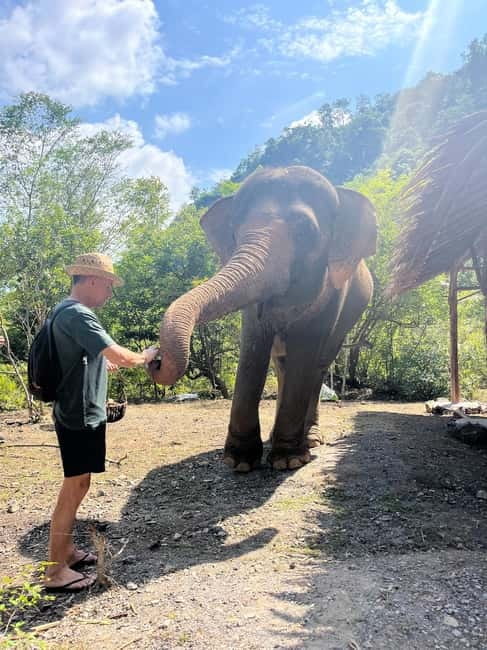 Krabi: Ethical Elephant Sanctuary & Tiger Cave Temple Tour - Tiger Cave Temple: 1,237 steps, 360° views, and cave options
